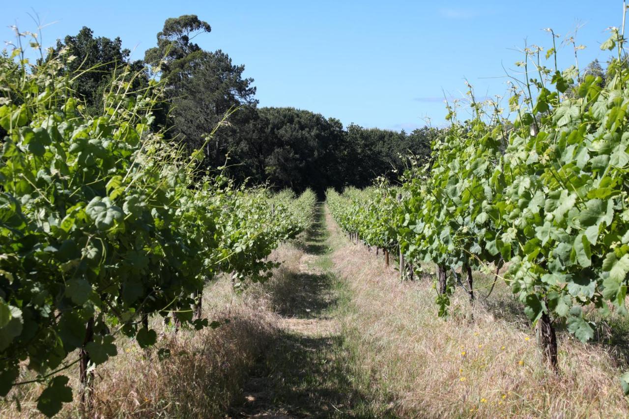 Quinta De Chousas - Braga - Agroturismo Eksteriør billede