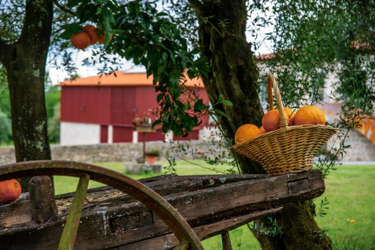 Quinta De Chousas - Braga - Agroturismo Eksteriør billede