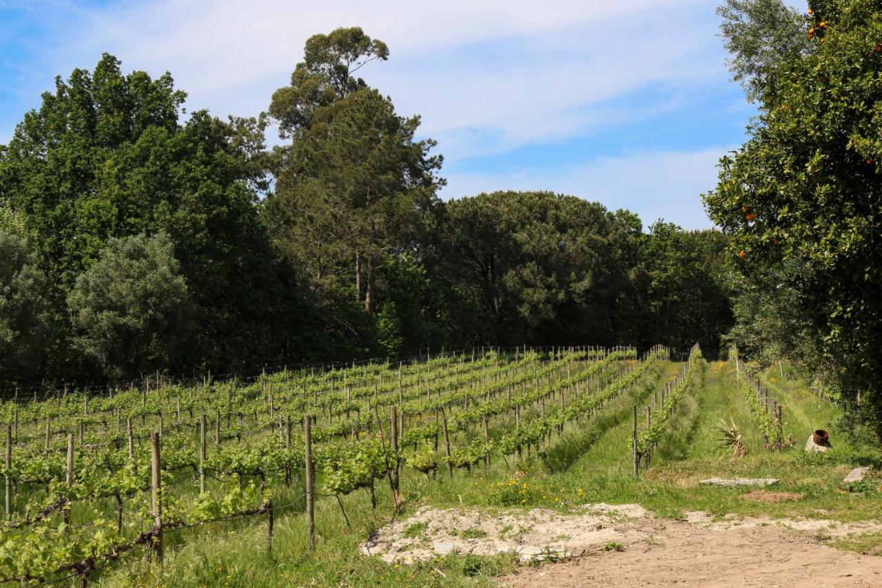 Quinta De Chousas - Braga - Agroturismo Eksteriør billede